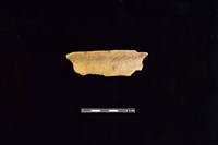 藏品(陶罐)的圖片